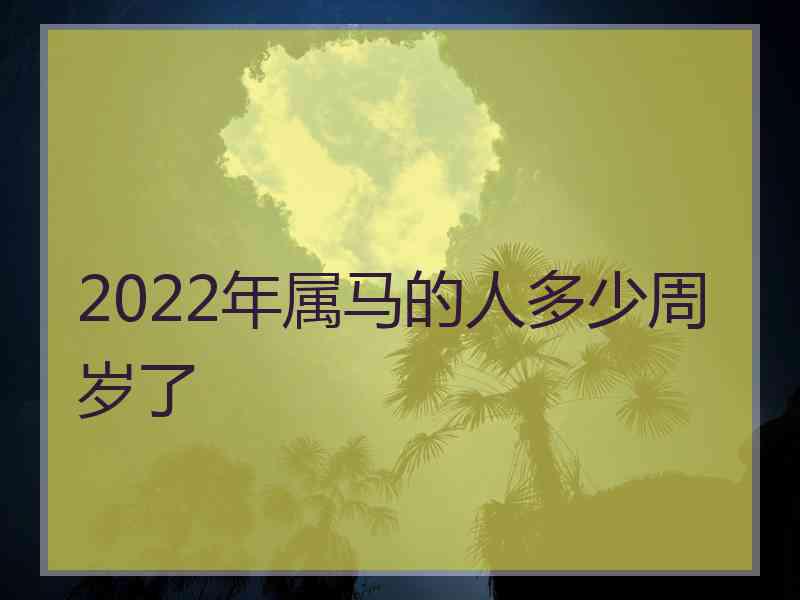 2022年属马的人多少周岁了