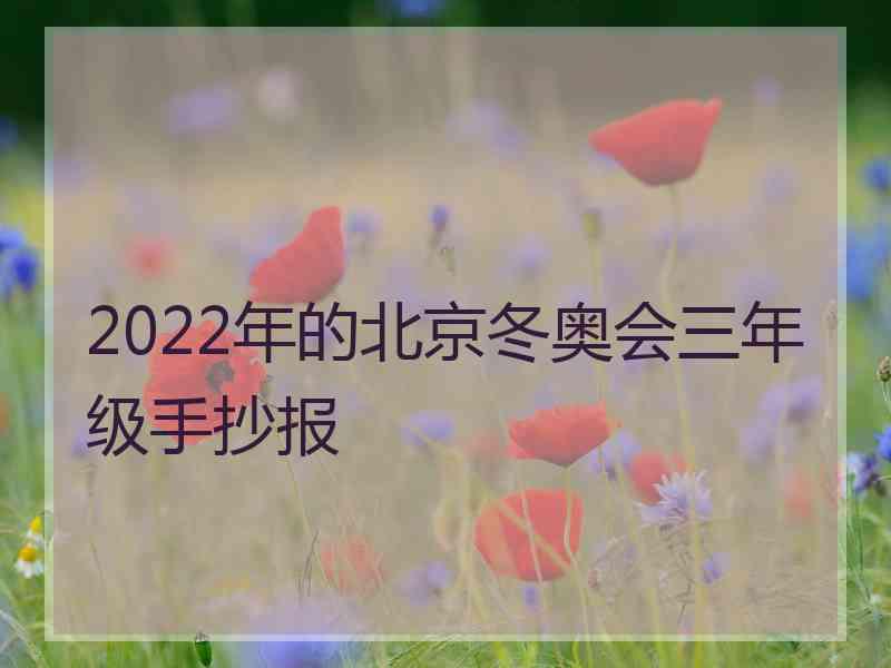 2022年的北京冬奥会三年级手抄报