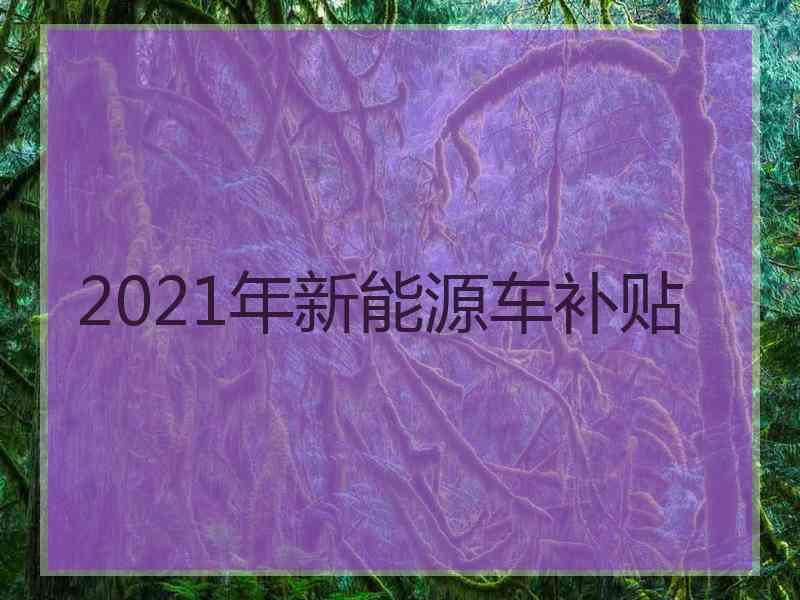 2021年新能源车补贴