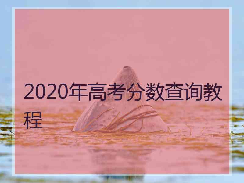 2020年高考分数查询教程