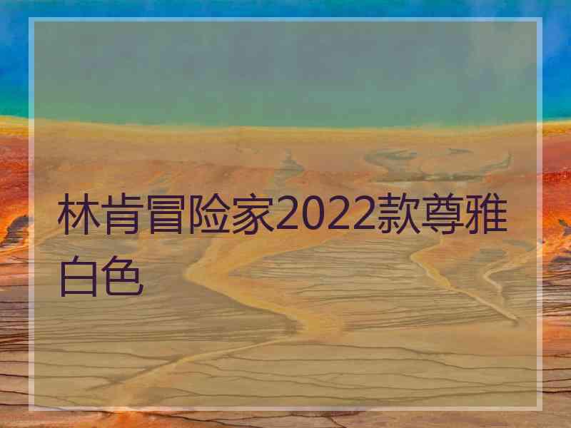 林肯冒险家2022款尊雅白色