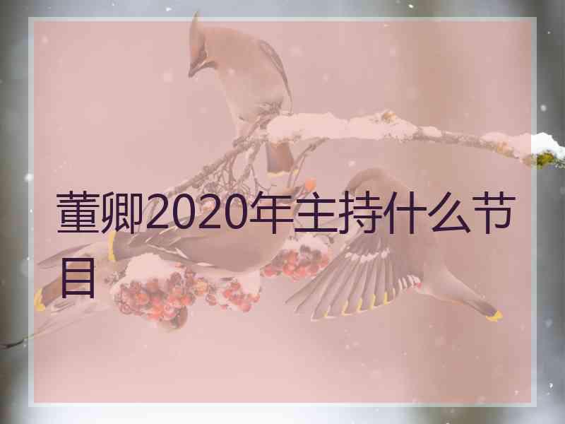 董卿2020年主持什么节目