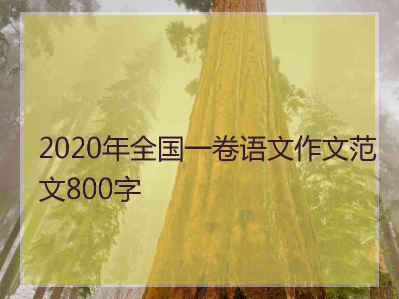 2020年全国一卷语文作文范文800字