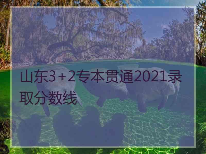 山东3+2专本贯通2021录取分数线