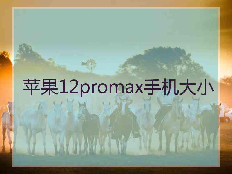 苹果12promax手机大小