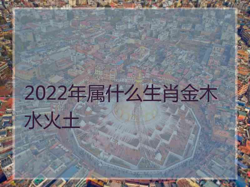 2022年属什么生肖金木水火土