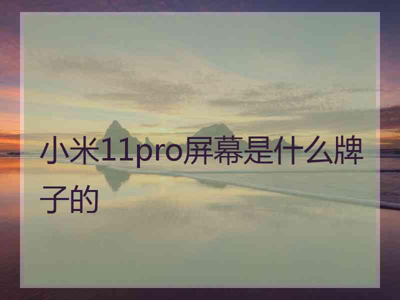 小米11pro屏幕是什么牌子的