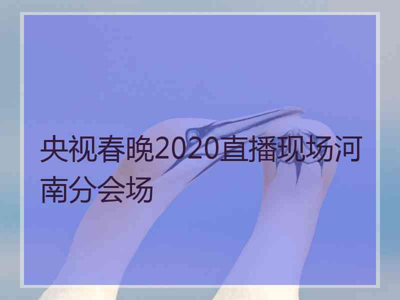 央视春晚2020直播现场河南分会场