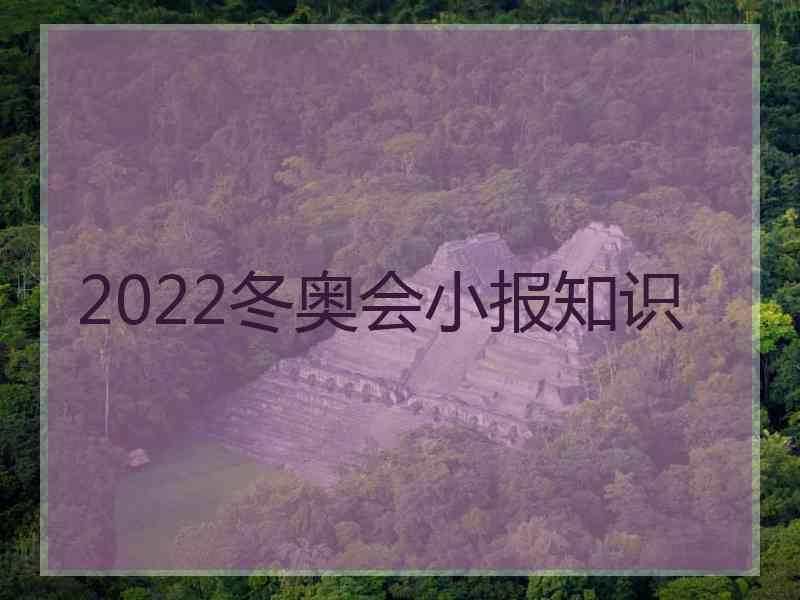 2022冬奥会小报知识