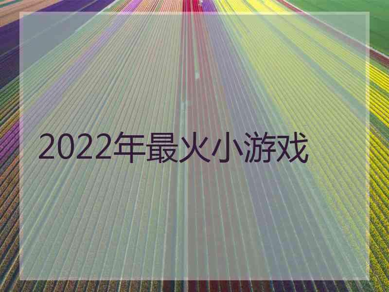 2022年最火小游戏