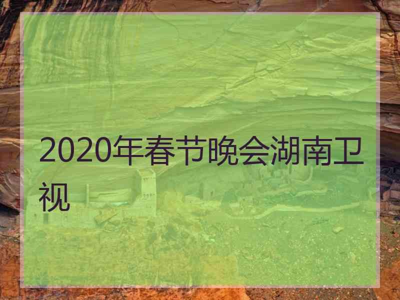 2020年春节晚会湖南卫视