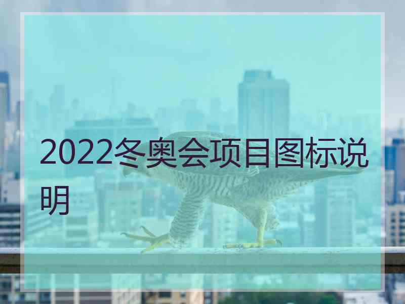 2022冬奥会项目图标说明