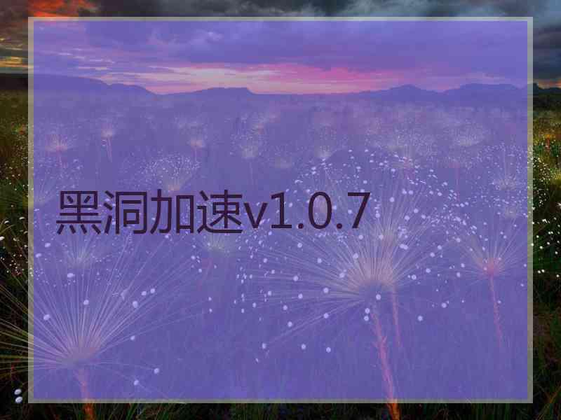 黑洞加速v1.0.7