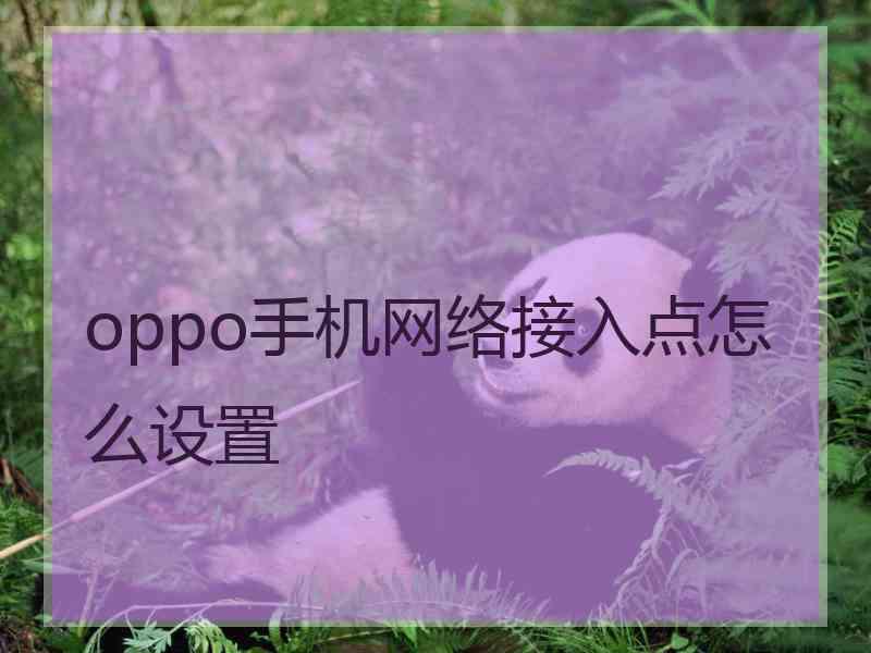 oppo手机网络接入点怎么设置