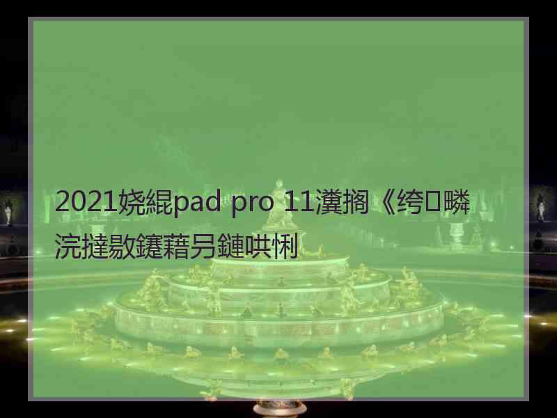 2021娆緄pad pro 11瀵搁《绔疄浣撻敭鑳藉叧鏈哄悧