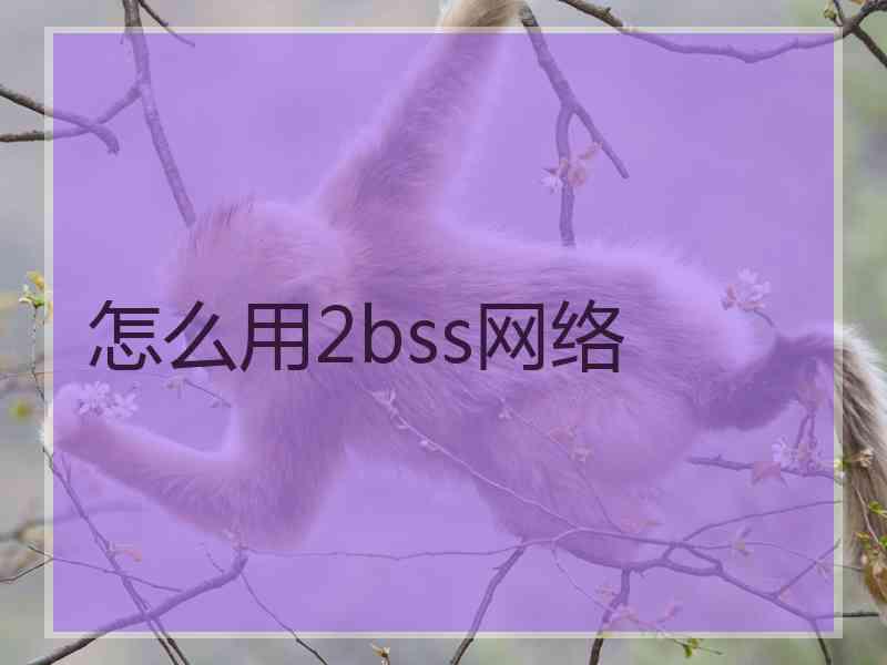 怎么用2bss网络