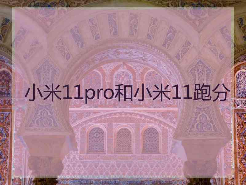 小米11pro和小米11跑分