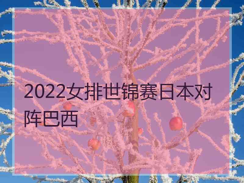 2022女排世锦赛日本对阵巴西