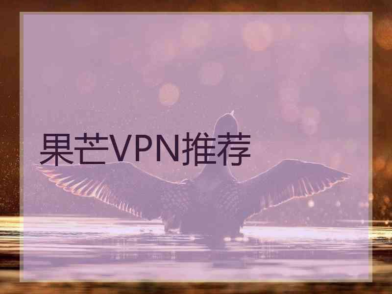 果芒VPN推荐