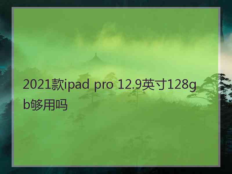 2021款ipad pro 12.9英寸128gb够用吗