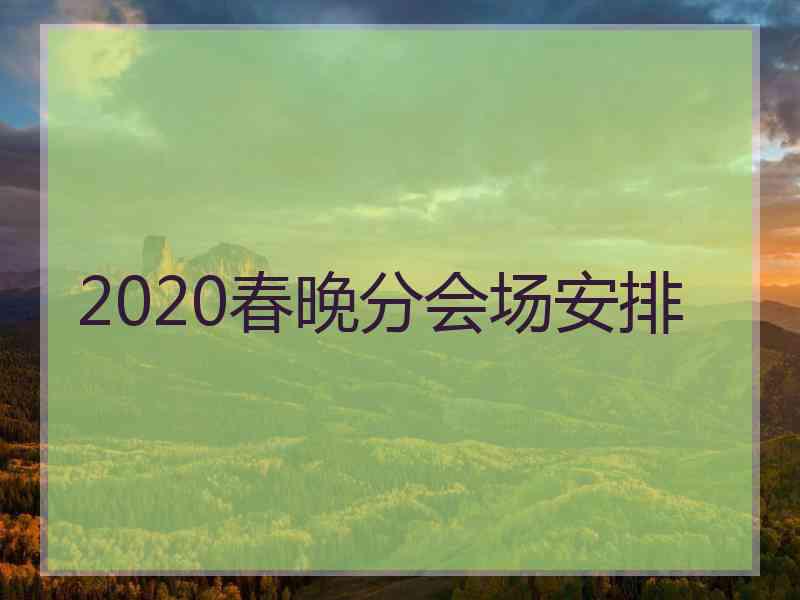 2020春晚分会场安排