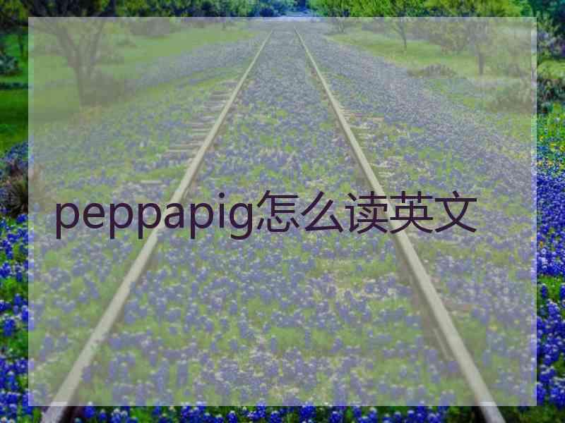 peppapig怎么读英文