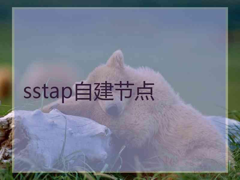 sstap自建节点