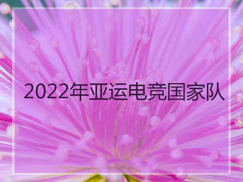 2022年亚运电竞国家队