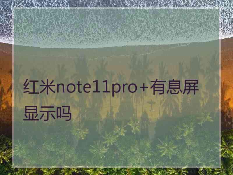 红米note11pro+有息屏显示吗