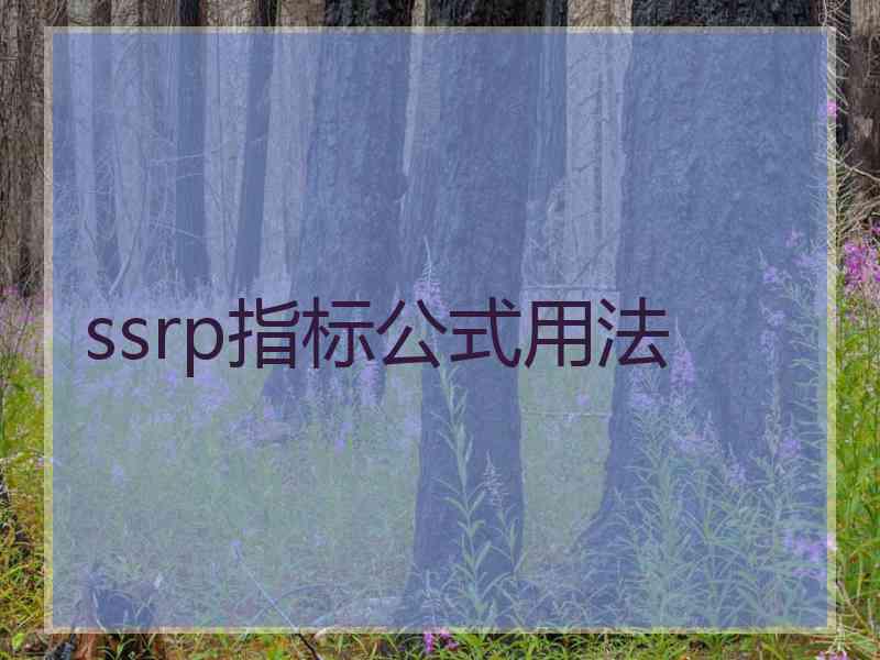 ssrp指标公式用法