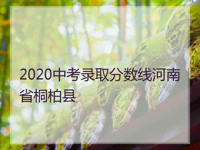 2020中考录取分数线河南省桐柏县