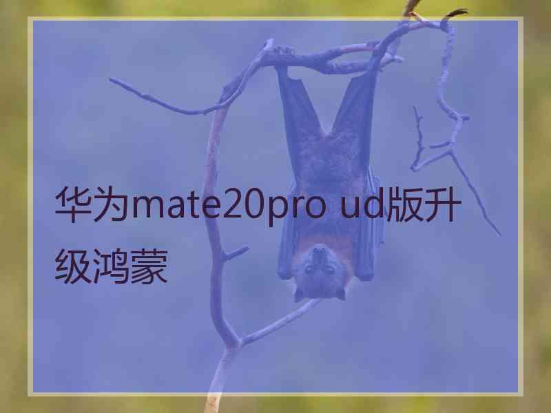 华为mate20pro ud版升级鸿蒙