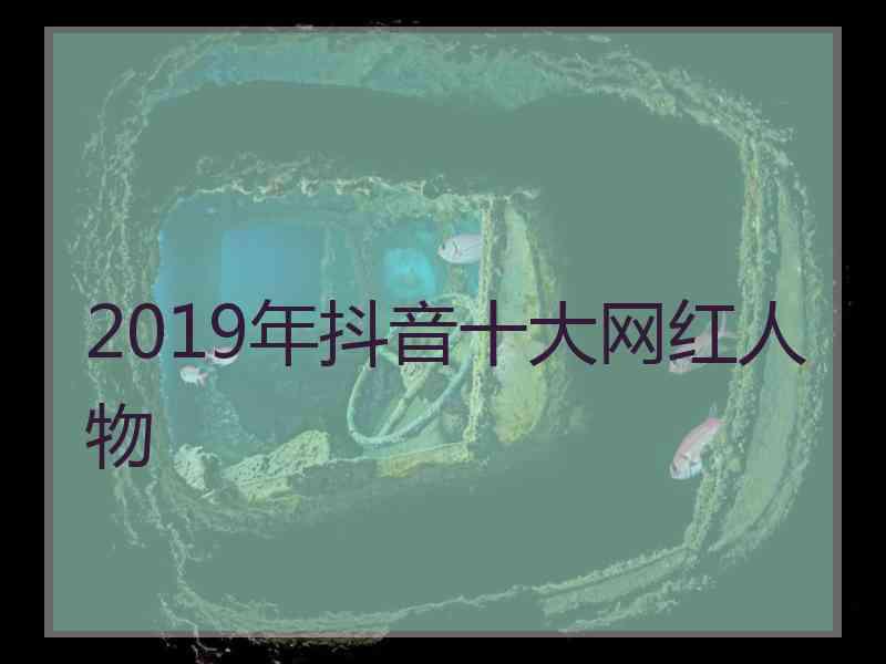 2019年抖音十大网红人物