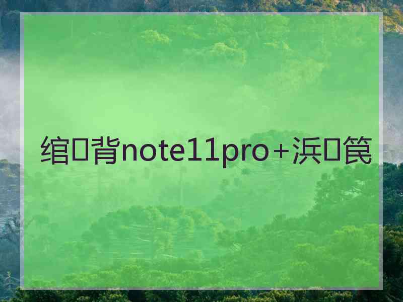 绾㈢背note11pro+浜笢