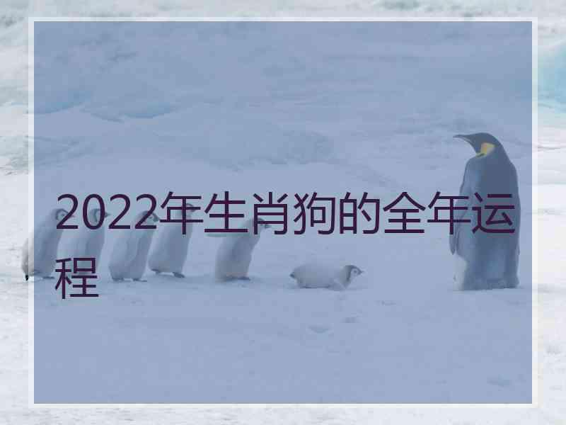 2022年生肖狗的全年运程