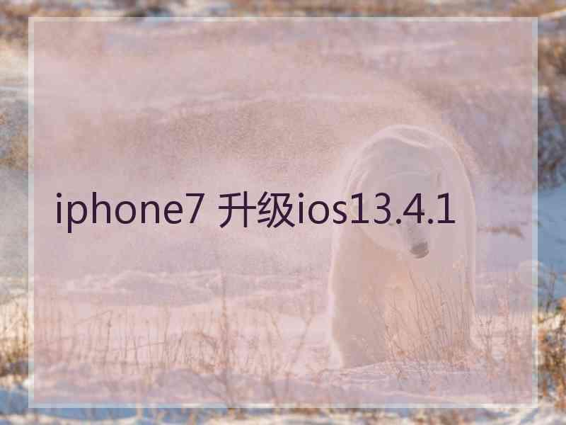 iphone7 升级ios13.4.1