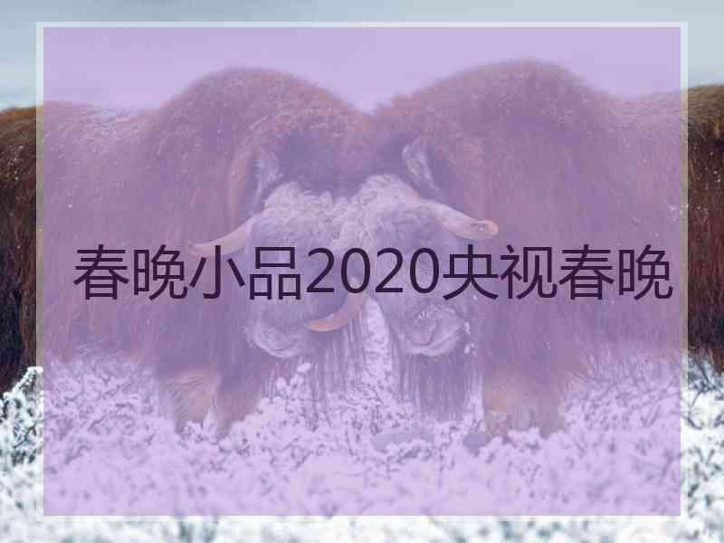 春晚小品2020央视春晚