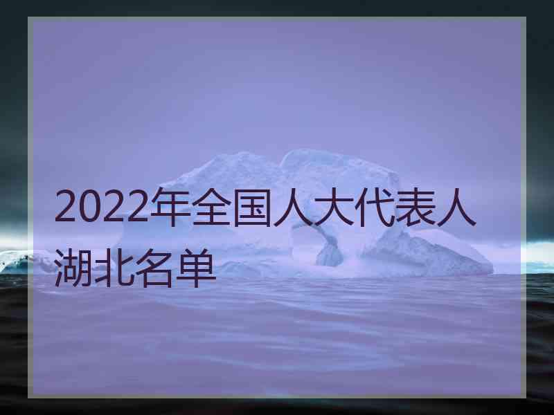 2022年全国人大代表人湖北名单