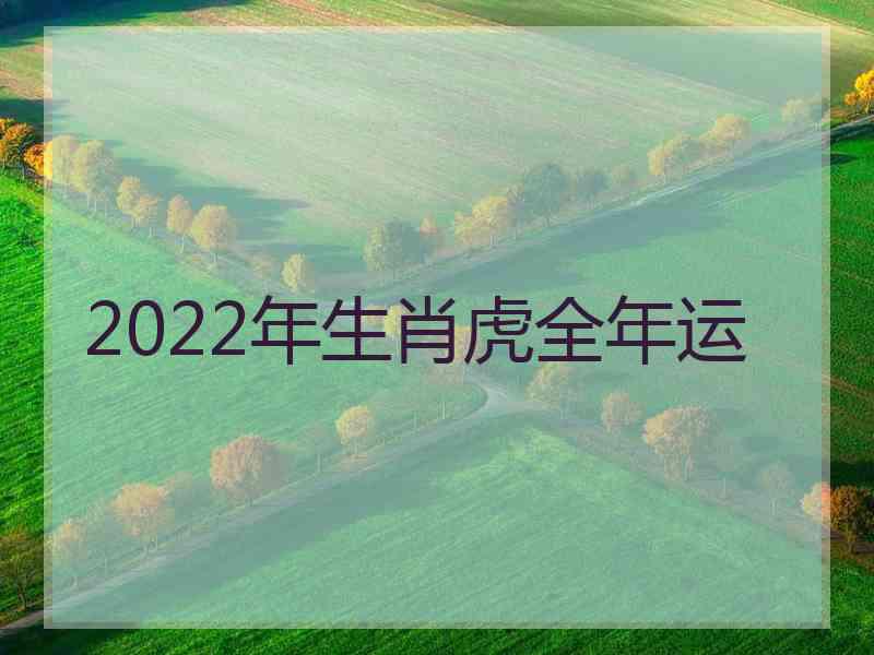 2022年生肖虎全年运