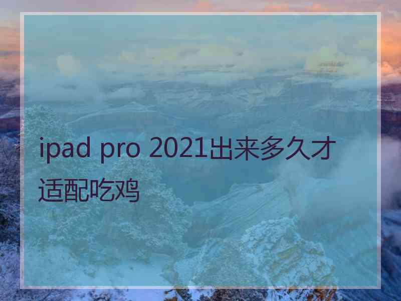 ipad pro 2021出来多久才适配吃鸡