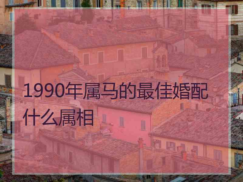 1990年属马的最佳婚配什么属相