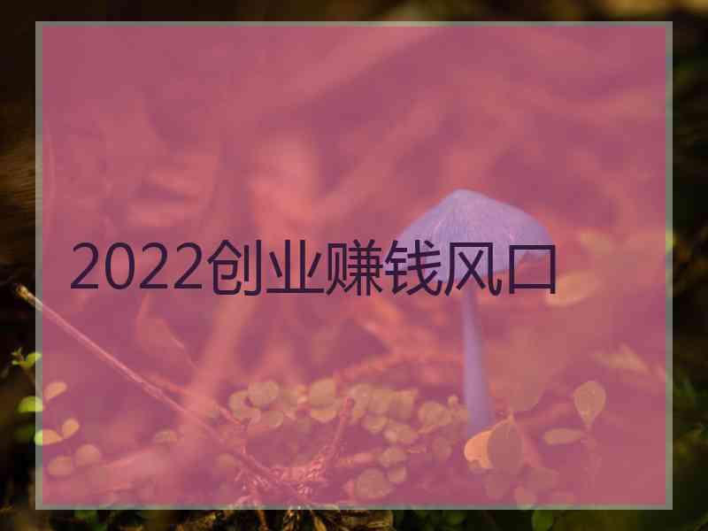 2022创业赚钱风口