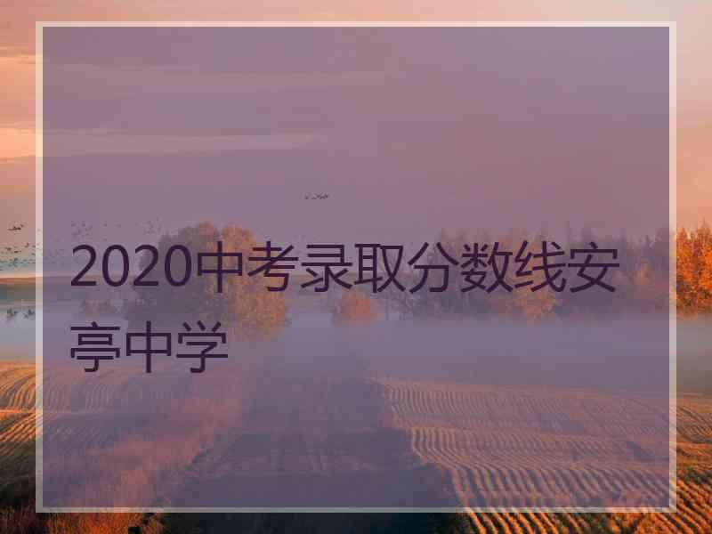 2020中考录取分数线安亭中学