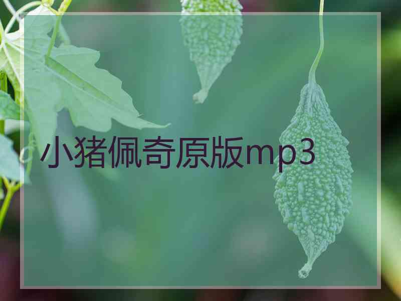 小猪佩奇原版mp3