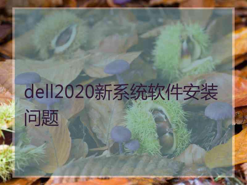 dell2020新系统软件安装问题