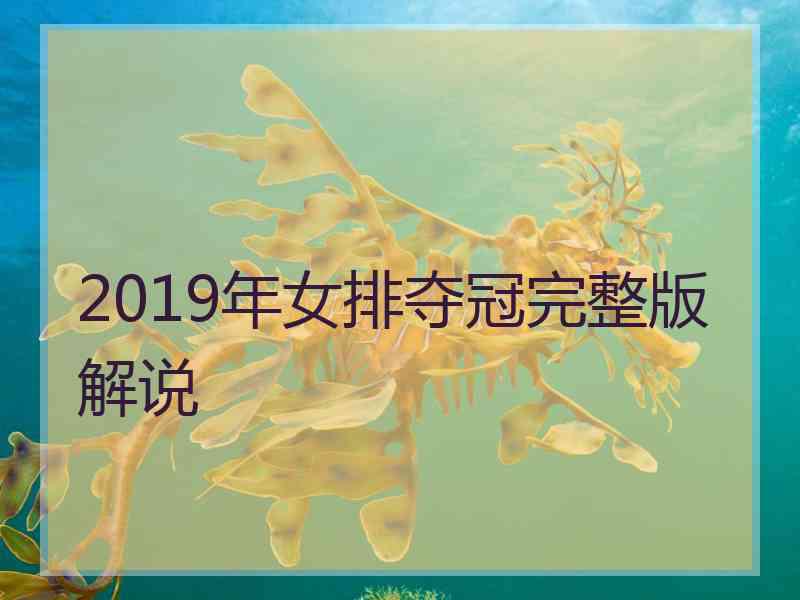 2019年女排夺冠完整版解说