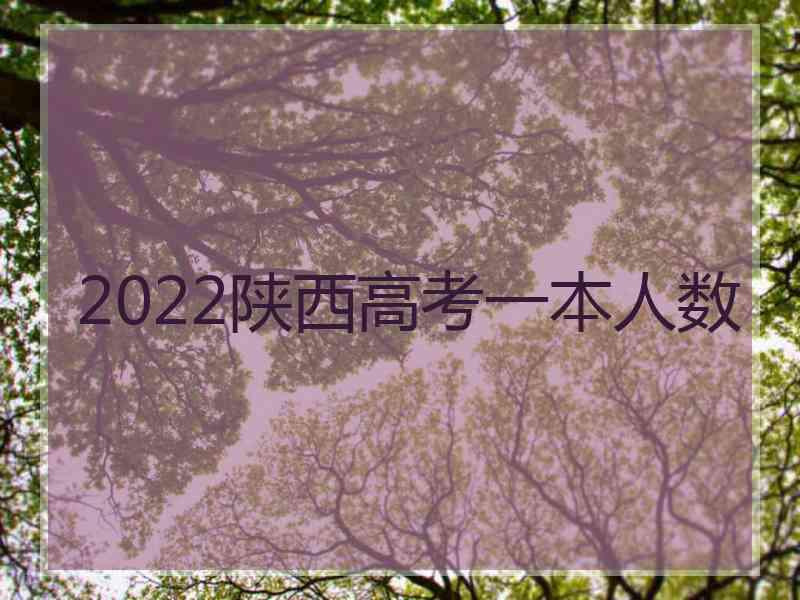 2022陕西高考一本人数