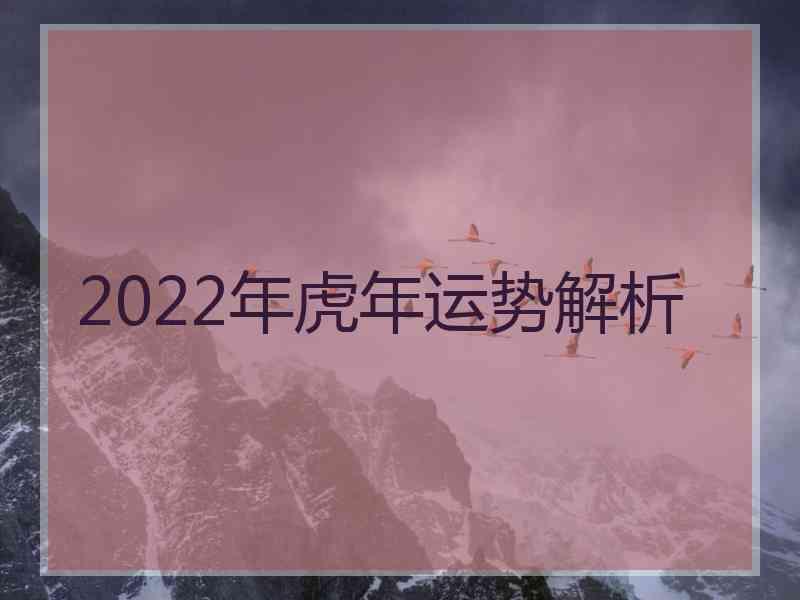 2022年虎年运势解析