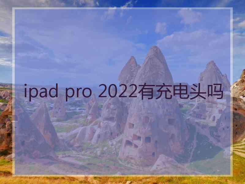 ipad pro 2022有充电头吗