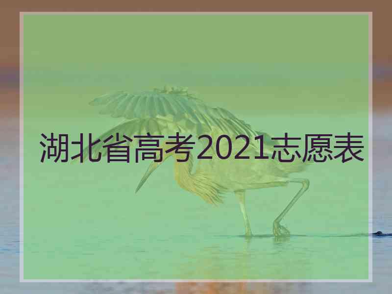 湖北省高考2021志愿表